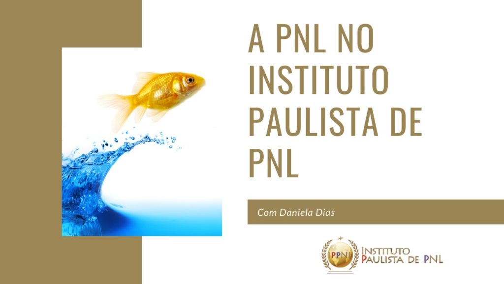 a pnl de 3a geração no ippnl